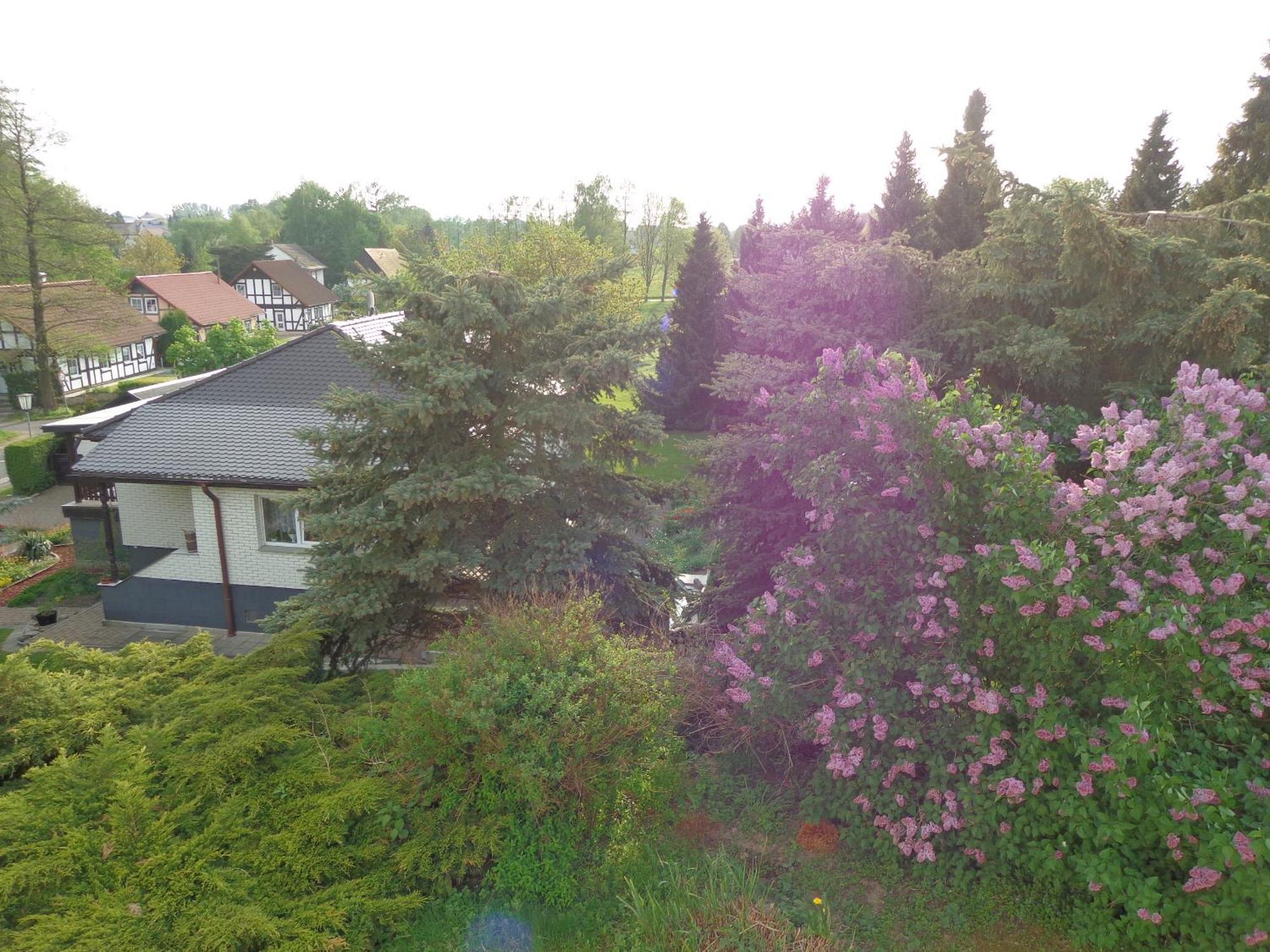 Pension Sonnenhuegel Markersdorf Exterior photo